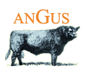 Angus breed, own stockbreeding