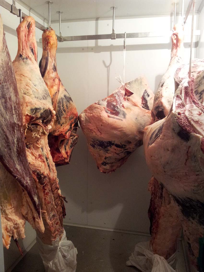carne